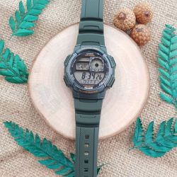 CA-AE-1000W-3AVDF