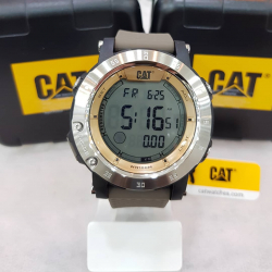 CAT.CP.167.29.249